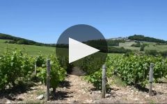 R. Dutoit Winery Video