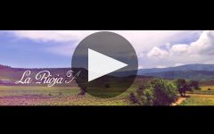 La Rioja Alta Gran Reserva 890 Tinto 2010 | Wine.com La Rioja Alta Gran Reserva 890 Tinto 2010 | Wine.com