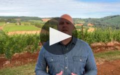 Prince Hill Vineyards Introducing Prince Hill Vineyards Winery Video