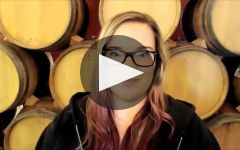 Scott Harvey Wines  Winery Video