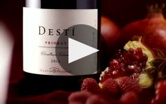 Merum Priorati  Winery Video