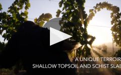 Ultimate Provence  Winery Video