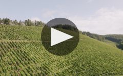 Karthauserhof Winery Video