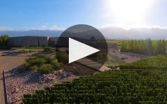 Familia Zuccardi Vineyards Winery Video
