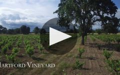 Hartford The Vineyards of Hartford Family Winery Video