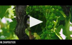 M. Chapoutier Winery Video