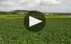 Champagne Thienot Winery Video