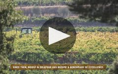 Boissy & Delaygue  Winery Video