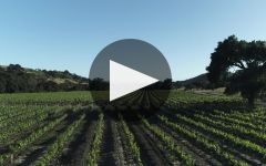 Fess Parker Fess Parker Winery Video
