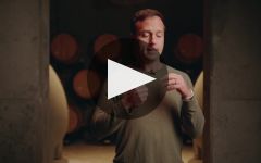 Jonata Flor Sauvignon Blanc 2019 | Wine.com