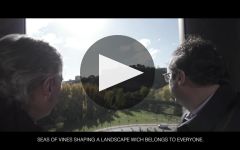 Bodegas Muga Winery Video
