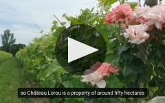 Chateau Laurou  Winery Video