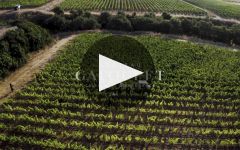 Chateau Galoupet Winery Video