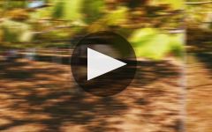 Vionta Wine Experiences with Vionta Winery Video