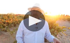 La Cana Winery Video