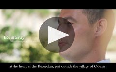 Chateau de la Chaize Winery Video