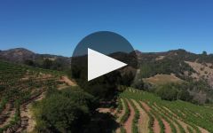 Far Mountain Alta Vista  Winery Video