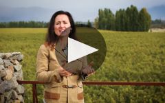 Catena Zapata Learn More About Adrianna Vineyard Winery Video