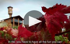Eguren Ugarte Eguren Ugarte Winery Video