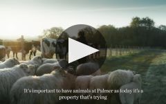 Chateau Palmer Winery Video