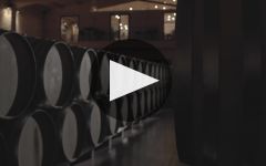 Emilio Moro Winery Video