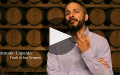 Tenute Capaldo  Winery Video