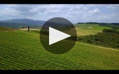 Rocca delle Macie Rocca delle Macie Winery Video