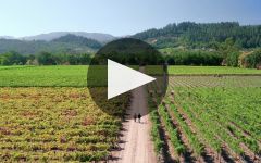 Quilt Winery Video