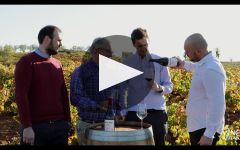 Vinos de Arganza Vinos de Arganza Vineyards Winery Video
