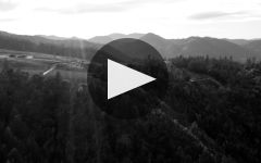 Ink Grade Learn More About Ink Grade Winery Video