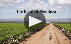 Santa Julia The Marvel of Mendoza Malbec Winery Video