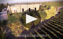 Andeluna Winery Video