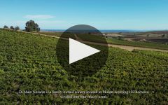 Di Majo Norante Di Majo Norante Winery Video