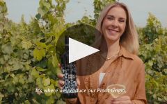 Candoni De Zan Winery Video