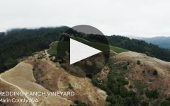 Schramsberg Vineyards Winery Video