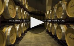 Bodegas Luzon The Wine Winery Video