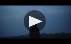 Moët & Chandon Winery Video