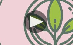 Sunny With a Chance of Flowers  Winery Video