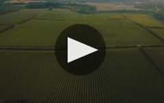 Chapel Down Winery Video