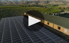 Chamisal Vineyards Chamisal Celebrating 50 Years! Winery Video