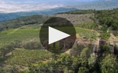 Fattoria La Lecciaia  Winery Video