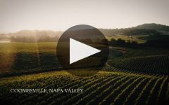 Faust Take a Closer Look at Faust Winery Video