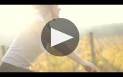 Clos Apalta Winery Video