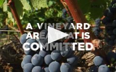 Clos de l'Esperance Winery Video
