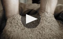 Belvedere Winery Video