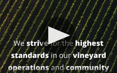 Ron Rubin Winery Video