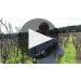 Copain Tous Ensemble Chardonnay 2018 Product Video