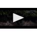 Henschke Hill of Grace Shiraz 2015 Henschke Hill of Grace Shiraz 2015 Product Video