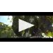 Vina Tarapaca Gran Reserva Carmenere 2019 Winemaker Tasting Notes Product Video