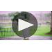 Imagery Estate Winery Sauvignon Blanc 2017 Product Video